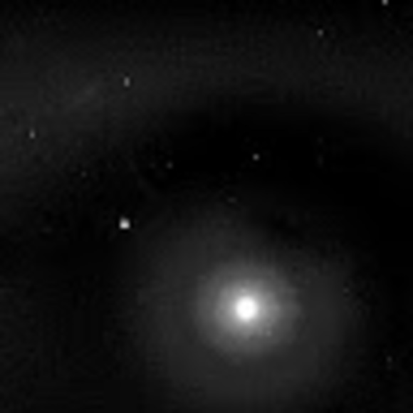 Meet your Posher, Mwali - Picture 1 of 1